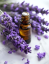 lavender20ess20oil.png