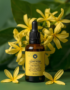 ylang20ylang20ess20oil.png